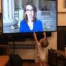 Lisa Desjardins profil fotoğrafı