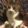 いつかは地球平和党🐾's profile picture