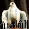 Profilbild von الشاهين