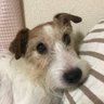 さとさと profil fotoğrafı