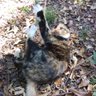 Profilbild von T Partain