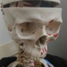 Paweł Wasilewski profil fotoğrafı