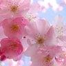 Фото профиля ToYou_555