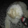 Profilbild von Javier