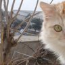 Hüseyin Yaylagül profil fotoğrafı