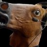 Profilbild von Ptitkuro