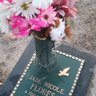Cora Williams Flores's profile picture