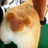 フーニャー profil fotoğrafı