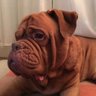 zung profil fotoğrafı