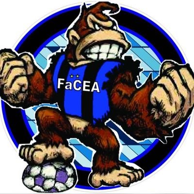 Monos de la 14🐒🌟🌟🌟's profile picture