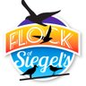 Scott J. Siegel profil fotoğrafı