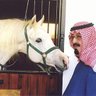 ماجد 🇸🇦 🇸🇦🇸🇦⚔️ profil fotoğrafı