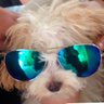 Profilbild von Jenny