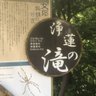 トマト's profile picture