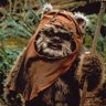 Brian Hamm's profile picture