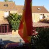 gatopapa's profile picture