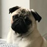 Sid 的头像