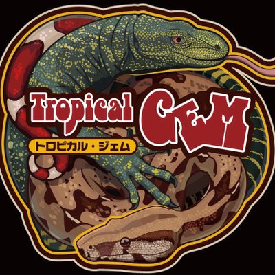 TropicalGEMGEM's profile picture