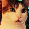 Profilbild von Couch Potato Life