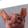 V's profile picture