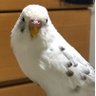 Profilbild von みほ