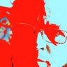 Paul Maitland's profile picture