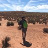 はるばる's profile picture