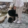 hanak 的头像
