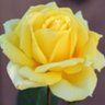 Фото профиля Marguerita