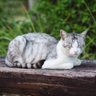 Фото профиля えむじぇー
