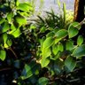 大久保英樹 profil fotoğrafı