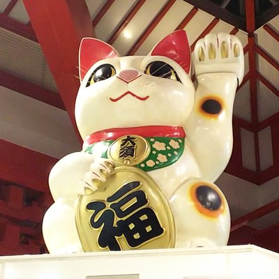 SAKAGAMI's profile picture