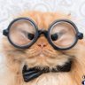 Profilbild von Eddmaister