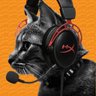MitisCat まいぺーすゲーマー profil fotoğrafı