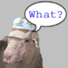 sheepGeekCP's profile picture