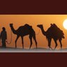 Profilbild von منصور النمر