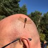 Gav B ♉ (Duke/Earl/Count/Ninja)'s profile picture