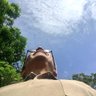 Cesar Flores B. profil fotoğrafı