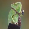 Deep State Lizard's profile picture