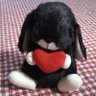 Profilbild von Pomu,∞,soru