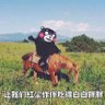 xiaoning.lens ♦️'s profile picture