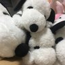 Profilbild von ふふふ