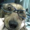 Profilbild von リダ