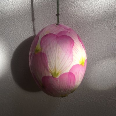 inori's profile picture