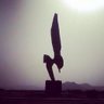 Ali's profile picture