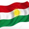 Concerned Kurd 🟥☀️🟩's profile picture