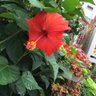 Фото профиля Karen R