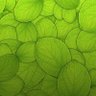 Фото профиля qslyhh