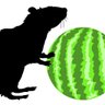 MelonRat's profile picture