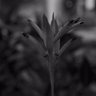 Фото профиля LHDLC